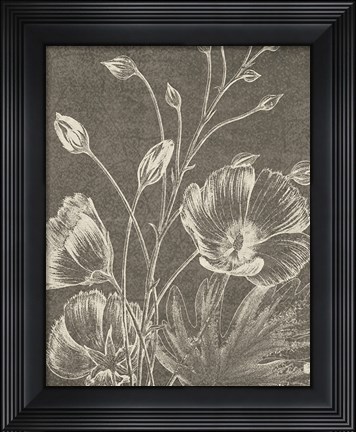 Framed Botanical Beauty Chalk IX Crop Print