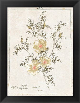 Framed Flowers on White II with Words Print
