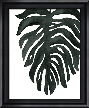 Framed Tropical Palm II BW Print