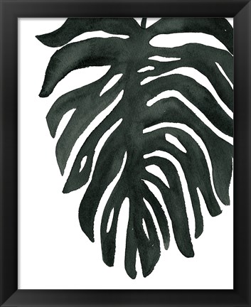 Framed Tropical Palm II BW Print
