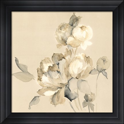 Framed Peony Blossoms Crop Print