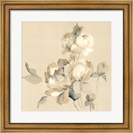 Framed Peony Blossoms Crop Print