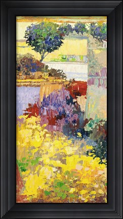 Framed Colore dei Campi II Print