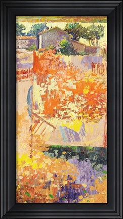 Framed Colore dei Campi III Print