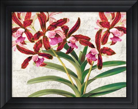 Framed Botanique Moderne I Print