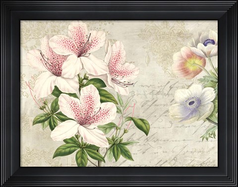 Framed Botanique Moderne II Print