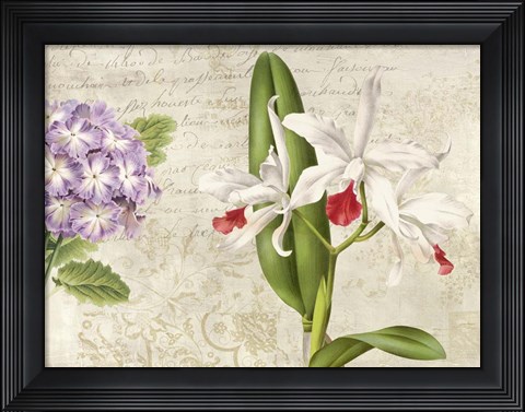 Framed Botanique Moderne III Print