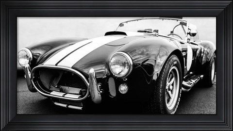 Framed Black Cobra Print