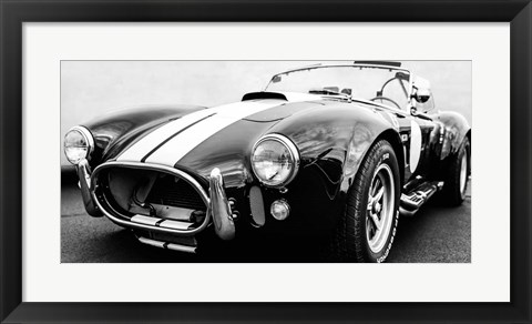 Framed Black Cobra Print