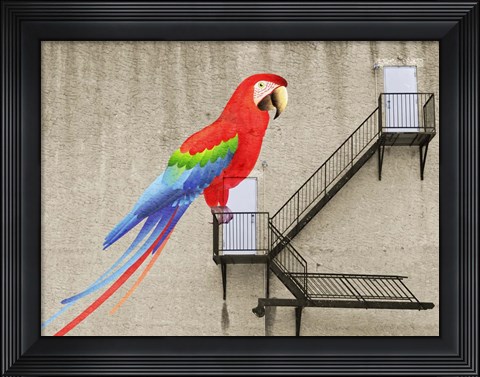 Framed Escape from your cage Print
