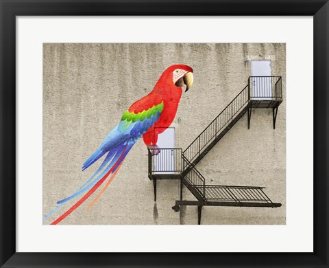 Framed Escape from your cage Print