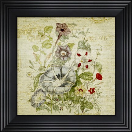 Framed Flower Print Five Print