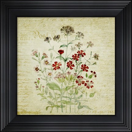 Framed Flower Print Three Print
