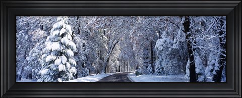 Framed Road passing through Snowy Forest in Winter, Yosemite National Park, California Print