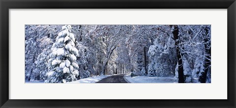 Framed Road passing through Snowy Forest in Winter, Yosemite National Park, California Print