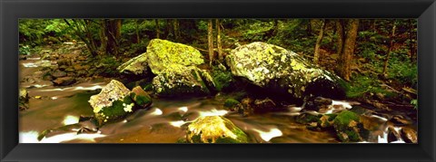 Framed Stream flowing through a Forest, Great Smoky Mountains National Park, Tennessee Print