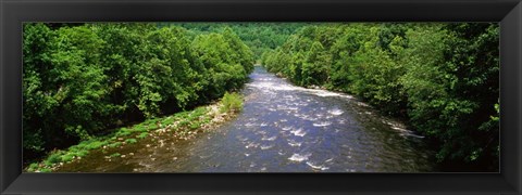 Framed River Passing through a Forest, Pigeon River, Cherokee National Forest, Tennessee Print