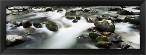 Framed Rocks in Little Pigeon River, Great Smoky Mountains National Park, Tennessee Print