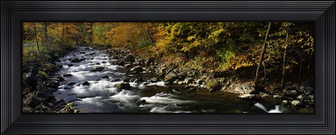 Framed River Flowing through a Forest, Chittenango Creek, New York State Print