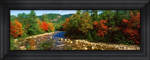 Framed River flowing through a Forest, Swift River, White Mountain National Forest, New Hampshire Print