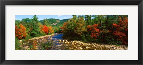 Framed River flowing through a Forest, Swift River, White Mountain National Forest, New Hampshire Print