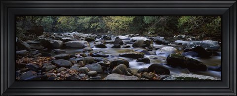 Framed Rocks in a River, Great Smoky Mountains National Park, Tennessee Print