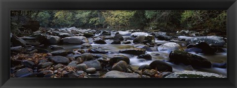 Framed Rocks in a River, Great Smoky Mountains National Park, Tennessee Print