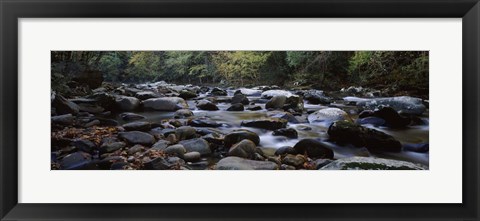 Framed Rocks in a River, Great Smoky Mountains National Park, Tennessee Print