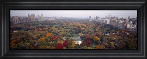 Framed Trees in a Park, Central Park, Manhattan Print