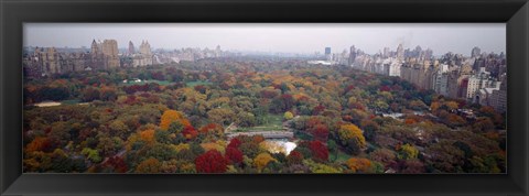 Framed Trees in a Park, Central Park, Manhattan Print