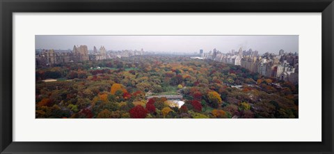 Framed Trees in a Park, Central Park, Manhattan Print