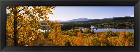 Framed Trees in Autumn, Grand Teton National Park, Wyoming Print