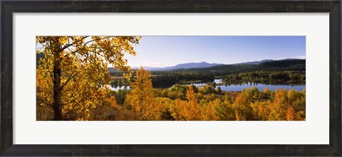 Framed Trees in Autumn, Grand Teton National Park, Wyoming Print