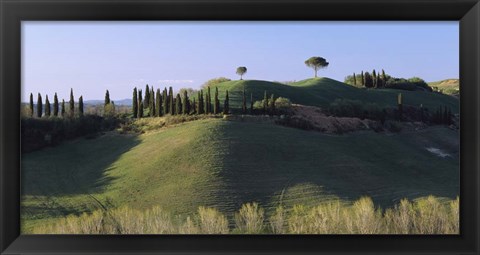 Framed Trees on Rolling Green Hills, Tuscany, Italy Print