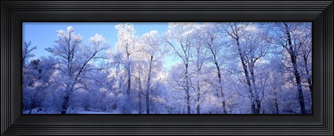 Framed Park in Stockholm Sweden Print