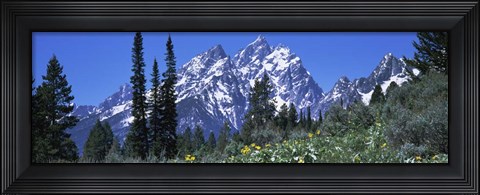 Framed Forest with Mountains in Grand Teton National Park, Wyoming Print