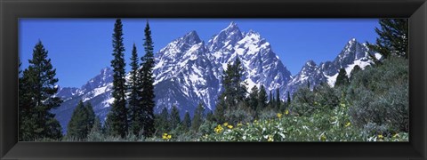 Framed Forest with Mountains in Grand Teton National Park, Wyoming Print