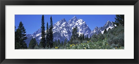 Framed Forest with Mountains in Grand Teton National Park, Wyoming Print