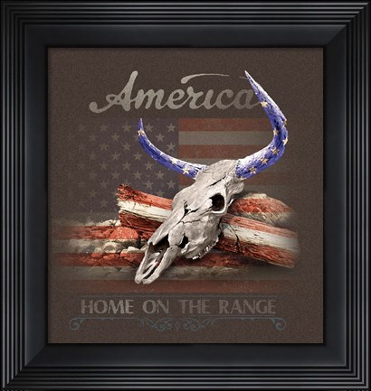 Framed America Print