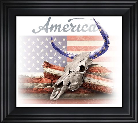 Framed America on White Print