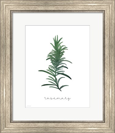 Framed Rosemary on White Print
