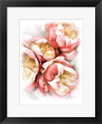 Framed Peach Peony Print
