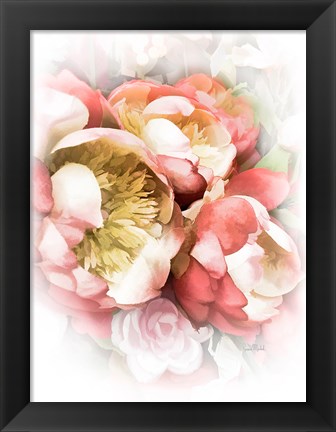 Framed Peach Peony II Print