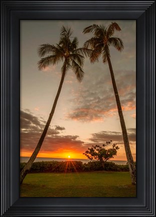 Framed Sunset Palms II Print