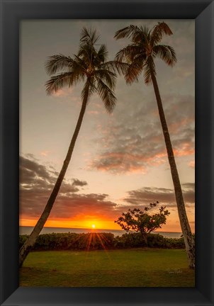 Framed Sunset Palms II Print