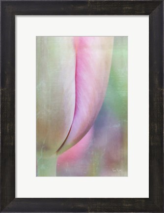 Framed Spring Beauty Print