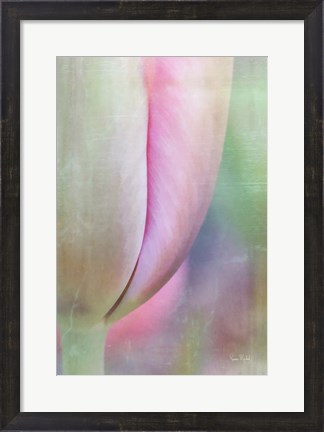 Framed Spring Beauty Print