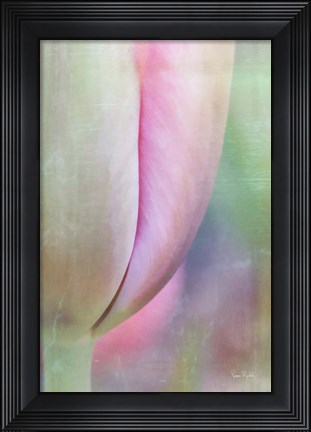 Framed Spring Beauty Print