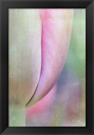 Framed Spring Beauty Print