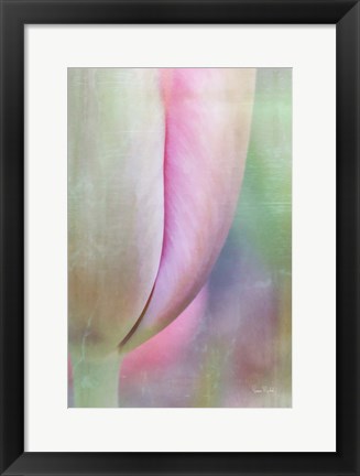 Framed Spring Beauty Print